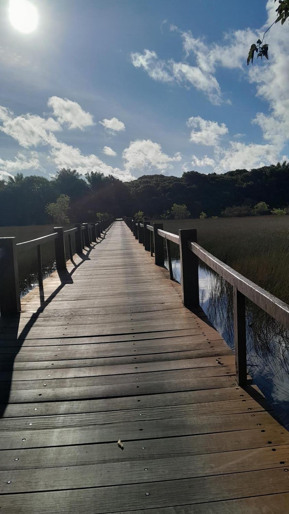 Village Em Itacimirim Lindo, Novo E Tranquilo A 400 M Da Praia Da Espera Exteriör bild
